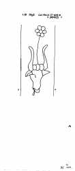 Wasserzeichen DE8100-PO-79026