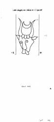 Wasserzeichen DE8100-PO-79781