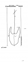 Wasserzeichen DE8370-PO-59105