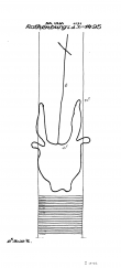 Wasserzeichen DE8370-PO-61428