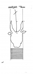 Wasserzeichen DE8370-PO-61446