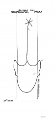 Wasserzeichen DE8370-PO-62624