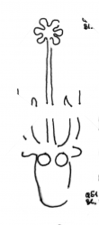 DE8580-HAAB_Q_51_247 - Typ:0 - ID: 85302 - Eintrag Nr.: 120 Wasserzeichen DE8580-HAAB_Q_51_247