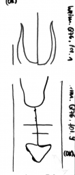 Wasserzeichen DE8580-HAAB_Q_76_1