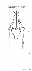 DE9090-PO-67785 - Typ:1 - ID: 86968 - Eintrag Nr.: 69 Wasserzeichen DE9090-PO-67785