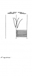 Wasserzeichen DE9150-PO-29706