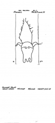 Wasserzeichen EE7185-PO-82048