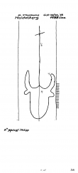 Wasserzeichen FR8040-PO-59958