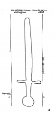 IT1185-PO-123098 - Typ:1 - ID: 89623 - Eintrag Nr.: 101 Wasserzeichen IT1185-PO-123098