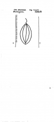 Wasserzeichen IT1185-PO-129831