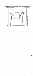 IT1185-PO-150140 - Typ:1 - ID: 89712 - Eintrag Nr.: 147 Wasserzeichen IT1185-PO-150140