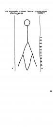 Wasserzeichen IT1185-PO-26620