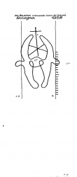 Wasserzeichen IT1185-PO-81548