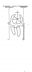 Wasserzeichen IT1185-PO-81554