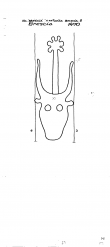 IT1365-PO-69655 - Typ:1 - ID: 90770 - Eintrag Nr.: 125 Wasserzeichen IT1365-PO-69655