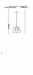 Wasserzeichen IT5235-PO-150410