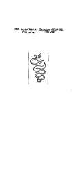 IT5235-PO-43176 - Typ:1 - ID: 92890 - Eintrag Nr.: 170 Wasserzeichen IT5235-PO-43176