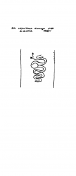 Wasserzeichen IT5235-PO-43434