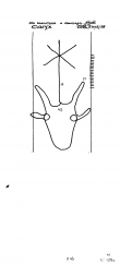 Wasserzeichen IT5235-PO-67054