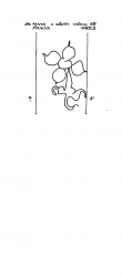 Wasserzeichen IT6810-PO-126997