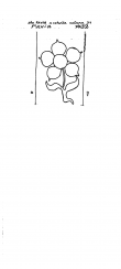 Wasserzeichen IT6810-PO-127030