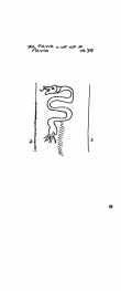 IT6810-PO-43174 - Typ:1 - ID: 93739 - Eintrag Nr.: 60 Wasserzeichen IT6810-PO-43174