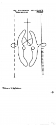 Wasserzeichen IT6855-PO-81569