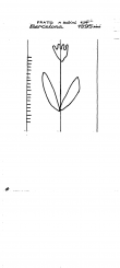 IT6900-PO-127140 - Typ:1 - ID: 94518 - Eintrag Nr.: 6 Wasserzeichen IT6900-PO-127140