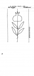 Wasserzeichen IT6900-PO-127152