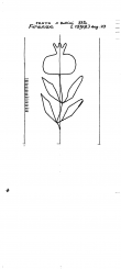 IT6900-PO-127154 - Typ:1 - ID: 94521 - Eintrag Nr.: 5 Wasserzeichen IT6900-PO-127154
