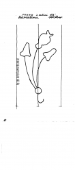 Wasserzeichen IT6900-PO-127209