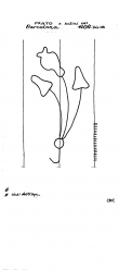 Wasserzeichen IT6900-PO-127219