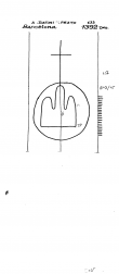 Wasserzeichen IT6900-PO-153373