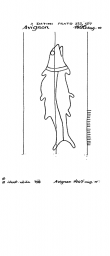 Wasserzeichen IT6900-PO-44501