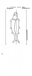 Wasserzeichen IT6900-PO-44506