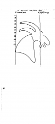IT6900-PO-85694 - Typ:1 - ID: 95241 - Eintrag Nr.: 10 Wasserzeichen IT6900-PO-85694
