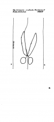 Wasserzeichen IT8430-PO-122370