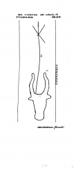 Wasserzeichen IT8430-PO-62918