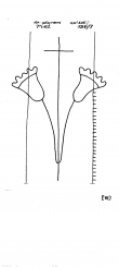 Wasserzeichen NL0360-PO-127184