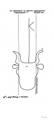 NL0360-PO-63643 - Typ:1 - ID: 99364 - Eintrag Nr.: 37 Wasserzeichen NL0360-PO-63643