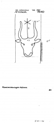 Wasserzeichen NL0360-PO-78590