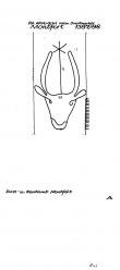 Wasserzeichen NL0360-PO-78797