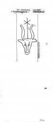 NL0360-PO-80029 - Typ:1 - ID: 99732 - Eintrag Nr.: 8 Wasserzeichen NL0360-PO-80029