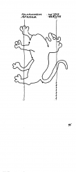 Wasserzeichen NL0360-PO-85215