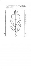 Wasserzeichen NL8370-PO-127151