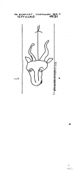NL8370-PO-80656 - Typ:1 - ID: 101935 - Eintrag Nr.: 63 Wasserzeichen NL8370-PO-80656