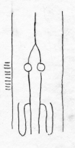 Wasserzeichen DE5580-Codgraec212_182