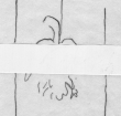 DE5580-Codgraec235_202 - Typ:0 - ID: 102700 - Eintrag Nr.: 8 Wasserzeichen DE5580-Codgraec235_202
