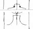 Wasserzeichen DE5580-Codgraec243_57