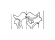 DE4200-Schuttern4_999a - Typ:0 - ID: 103377 - Eintrag Nr.: 112 Wasserzeichen DE4200-Schuttern4_999a